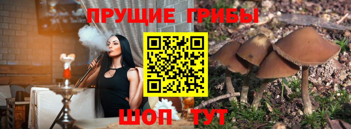Галлюциногенные грибы Psilocybe  Псилоцибиновые грибы Magic Shrooms  Вход с VPN  Ижевск 