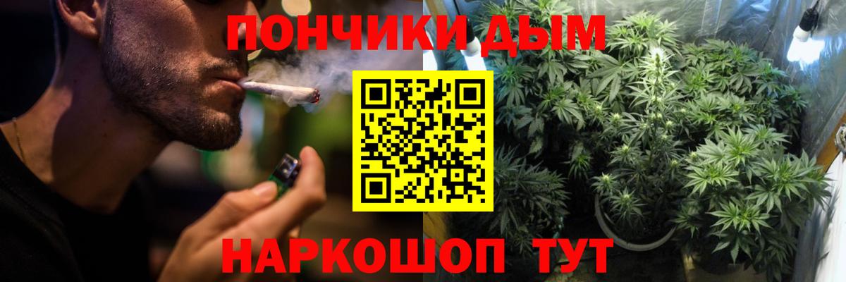 Шишки марихуана Bruce Banner  Вход с VPN  Ижевск  Бошки Шишки ГИДРОПОН 